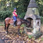 The Horse Trough